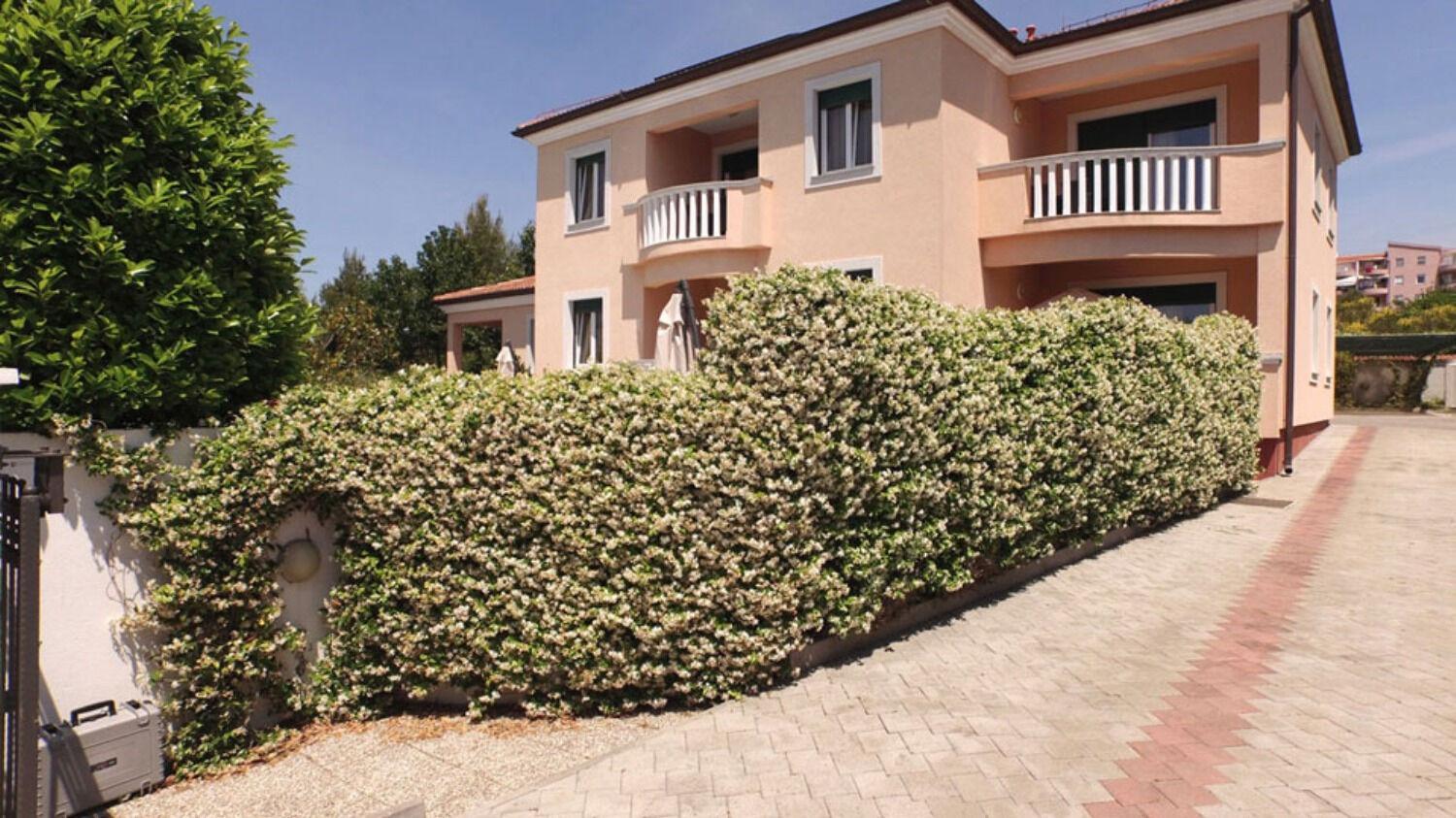 Eddie - Great Location & Comfor Apartman Zára